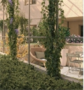 appartement à la vente